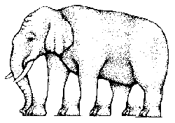 Elephant Leg Illusion